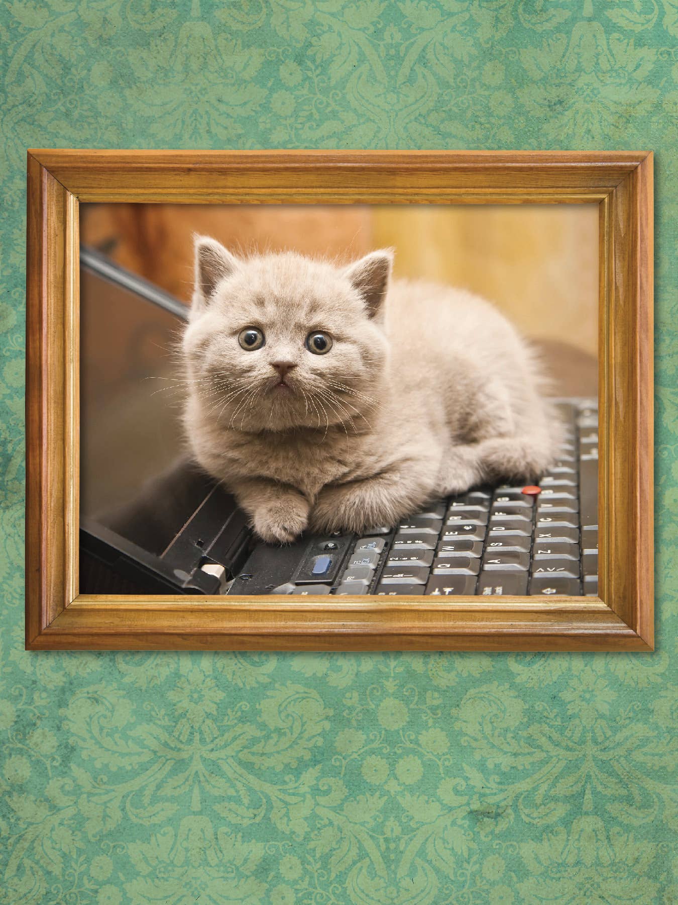 I Could Pee on This - And Other Poems by Cats