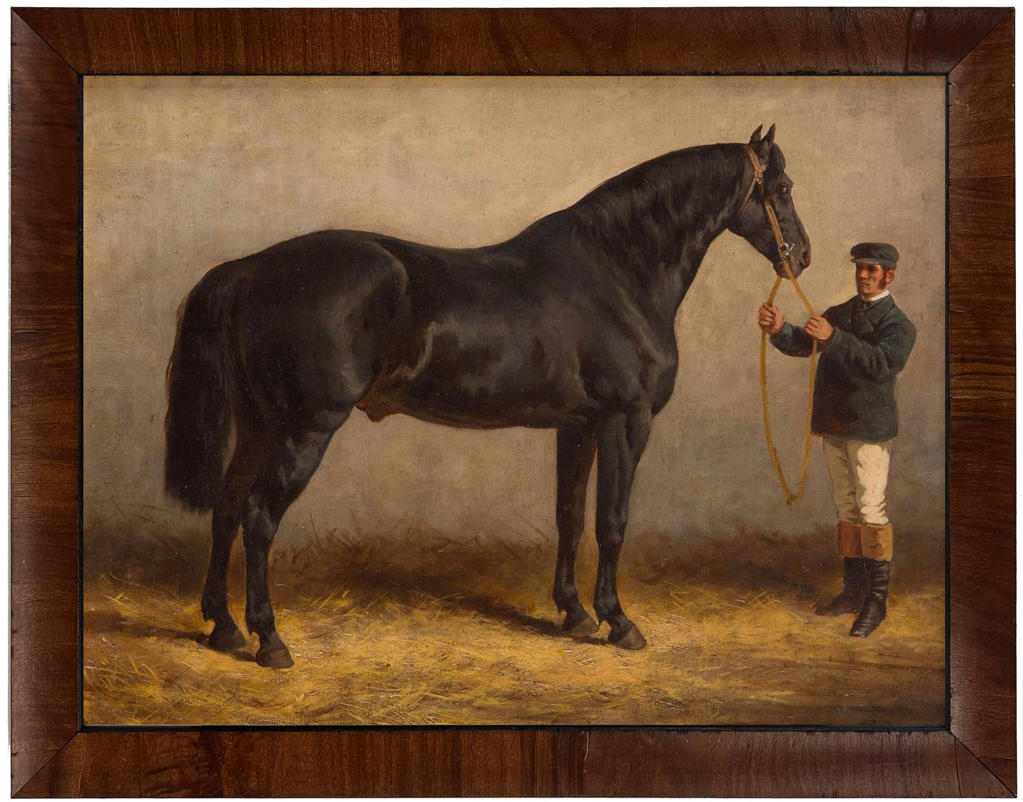Horse from the Royal Stud in a Walnut Burl Frame - Reproduction Framed Art