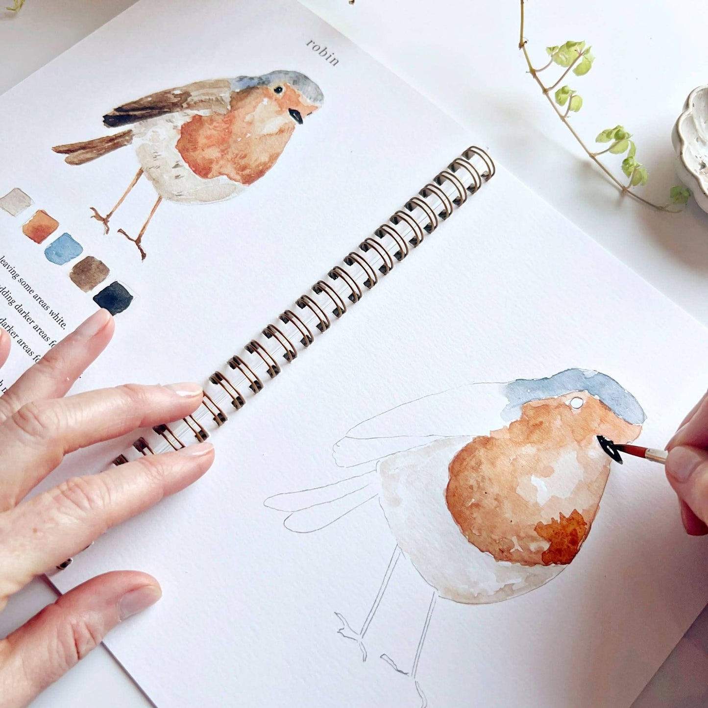 Birds Watercolor Workbook by Watercolor Artist Emily Lex