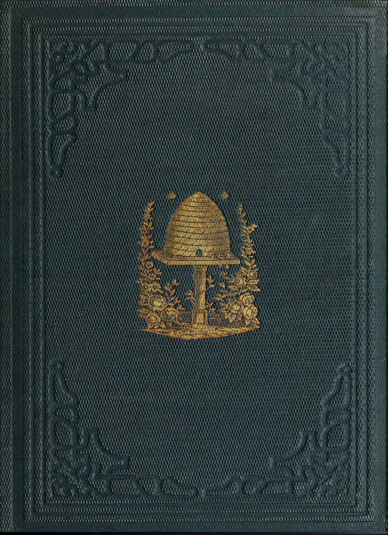 Dark Green Bee Keeping Book Cover Framed Print I - Vintage Reproduction