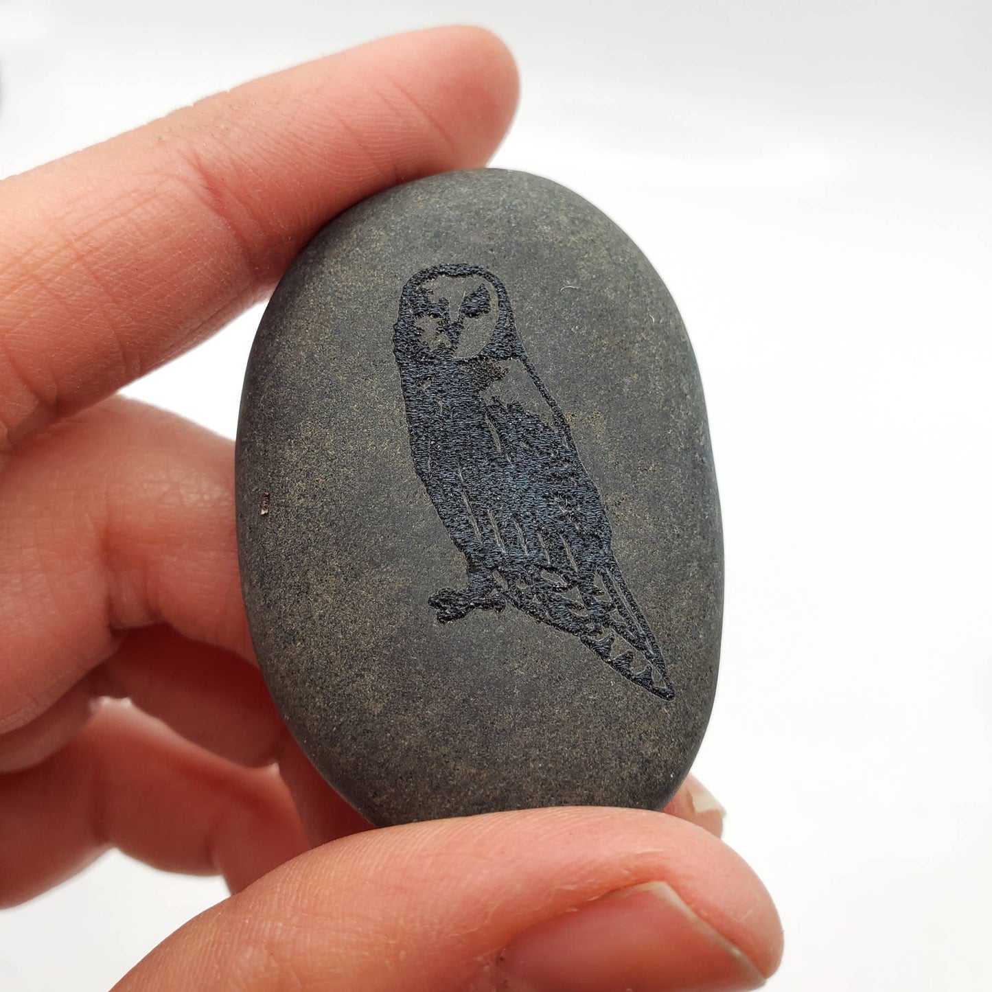 Engraved Owl River Stone