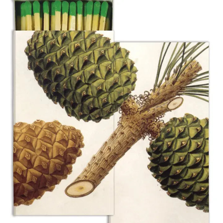 Pinecones Matches