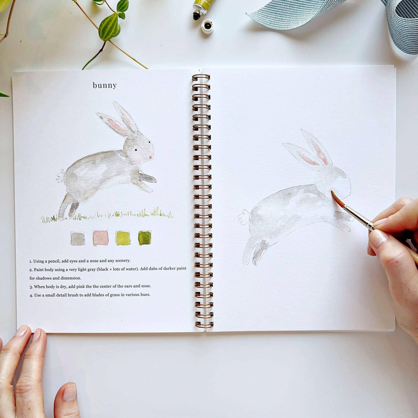 Animals Watercolor Workbook by Watercolor Artist Emily Lex