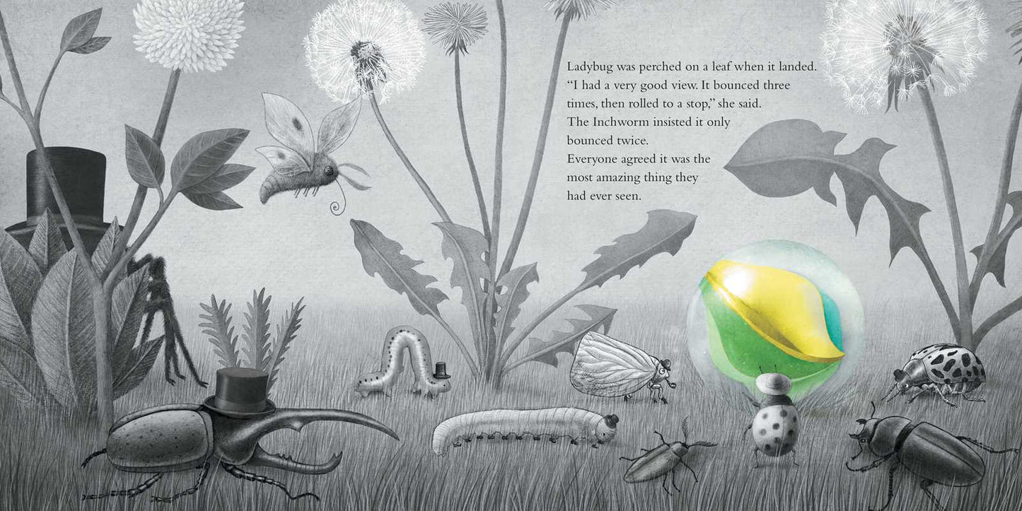 It Fell from the Sky by Terry & Eric Fan - Hardcover