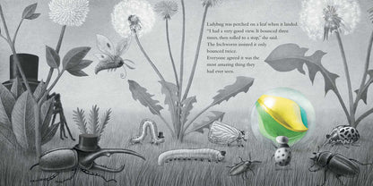 It Fell from the Sky by Terry & Eric Fan - Hardcover