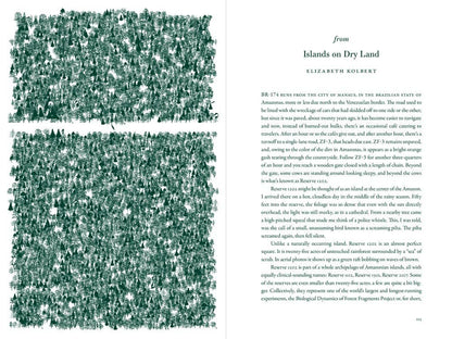 The Language of Trees: A Rewilding of Literature and Landscape by Katie Holten - Paperback