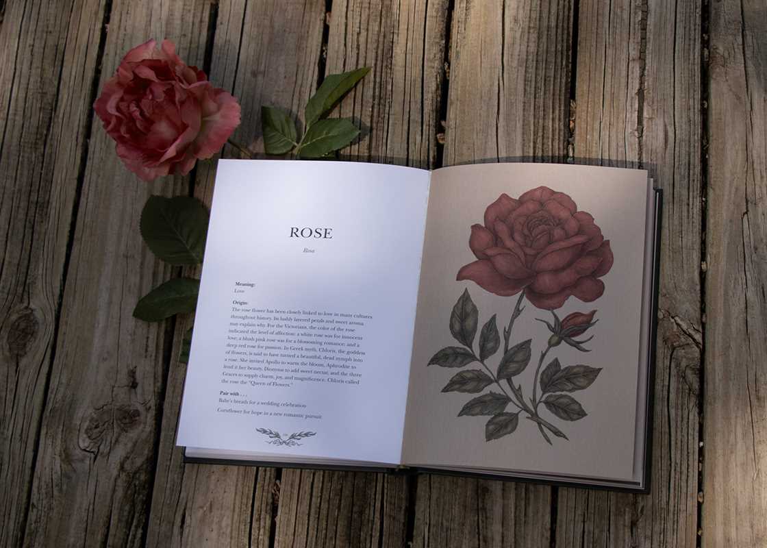 "Floriography: An Illustrated Guide to the Victorian Language of Flowers" by Jessica  Roux - Hardcover