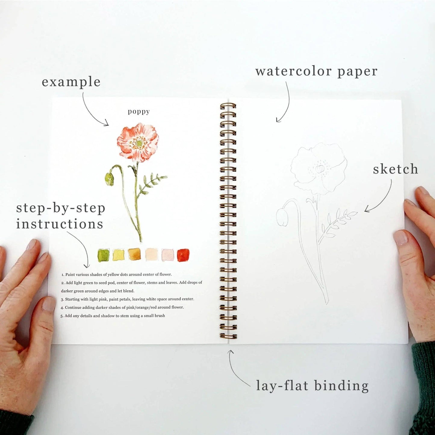 Flowers Watercolor Workbook by Watercolor Artist Emily Lex