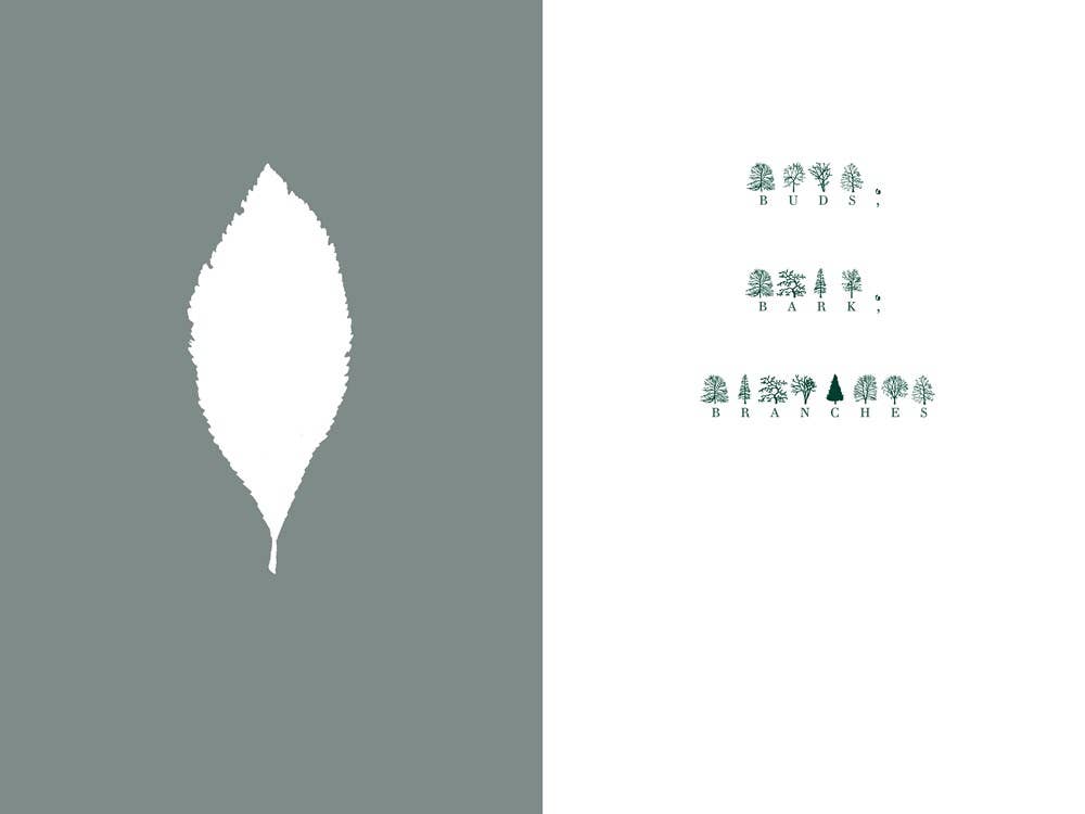 The Language of Trees: A Rewilding of Literature and Landscape by Katie Holten - Paperback