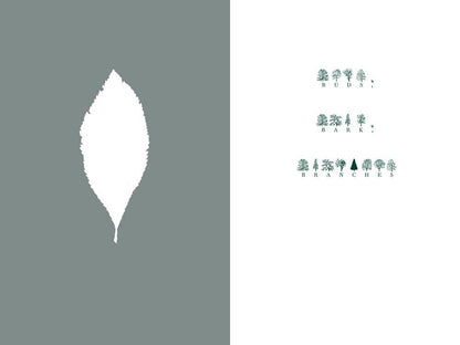 The Language of Trees: A Rewilding of Literature and Landscape by Katie Holten - Paperback