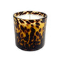 Sugared Amber Soy Candle in in Tortoise Shell Glass