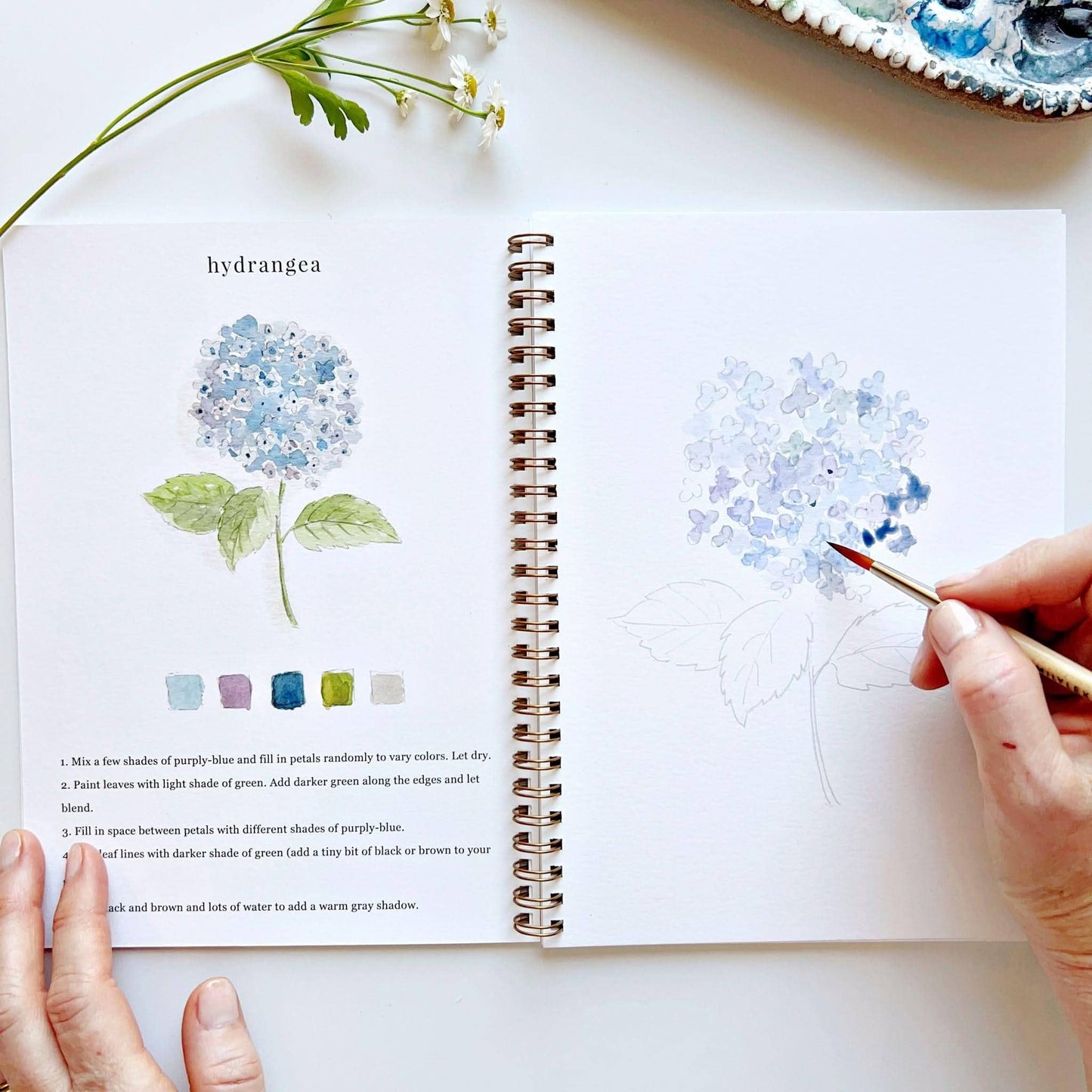 Flowers Watercolor Workbook by Watercolor Artist Emily Lex