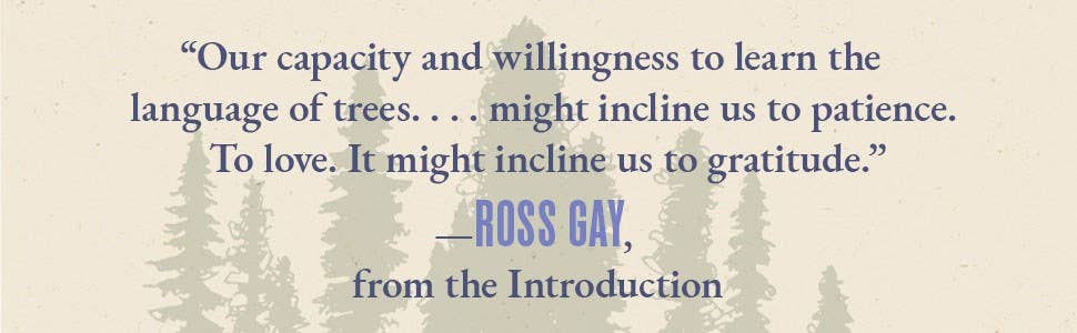 The Language of Trees: A Rewilding of Literature and Landscape by Katie Holten - Paperback