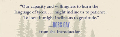 The Language of Trees: A Rewilding of Literature and Landscape by Katie Holten - Paperback