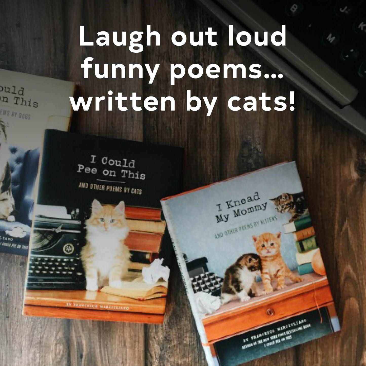 I Could Pee on This - And Other Poems by Cats