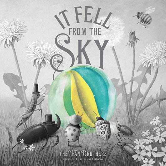 It Fell from the Sky by Terry & Eric Fan - Hardcover
