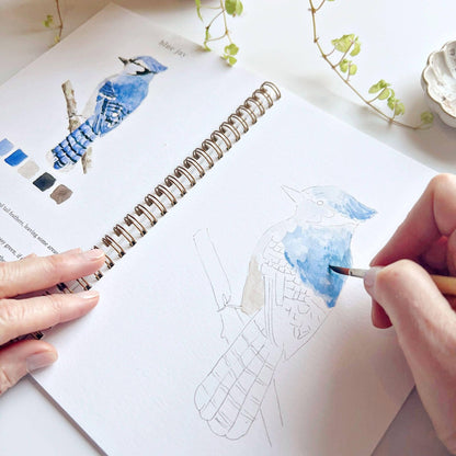 Birds Watercolor Workbook by Watercolor Artist Emily Lex