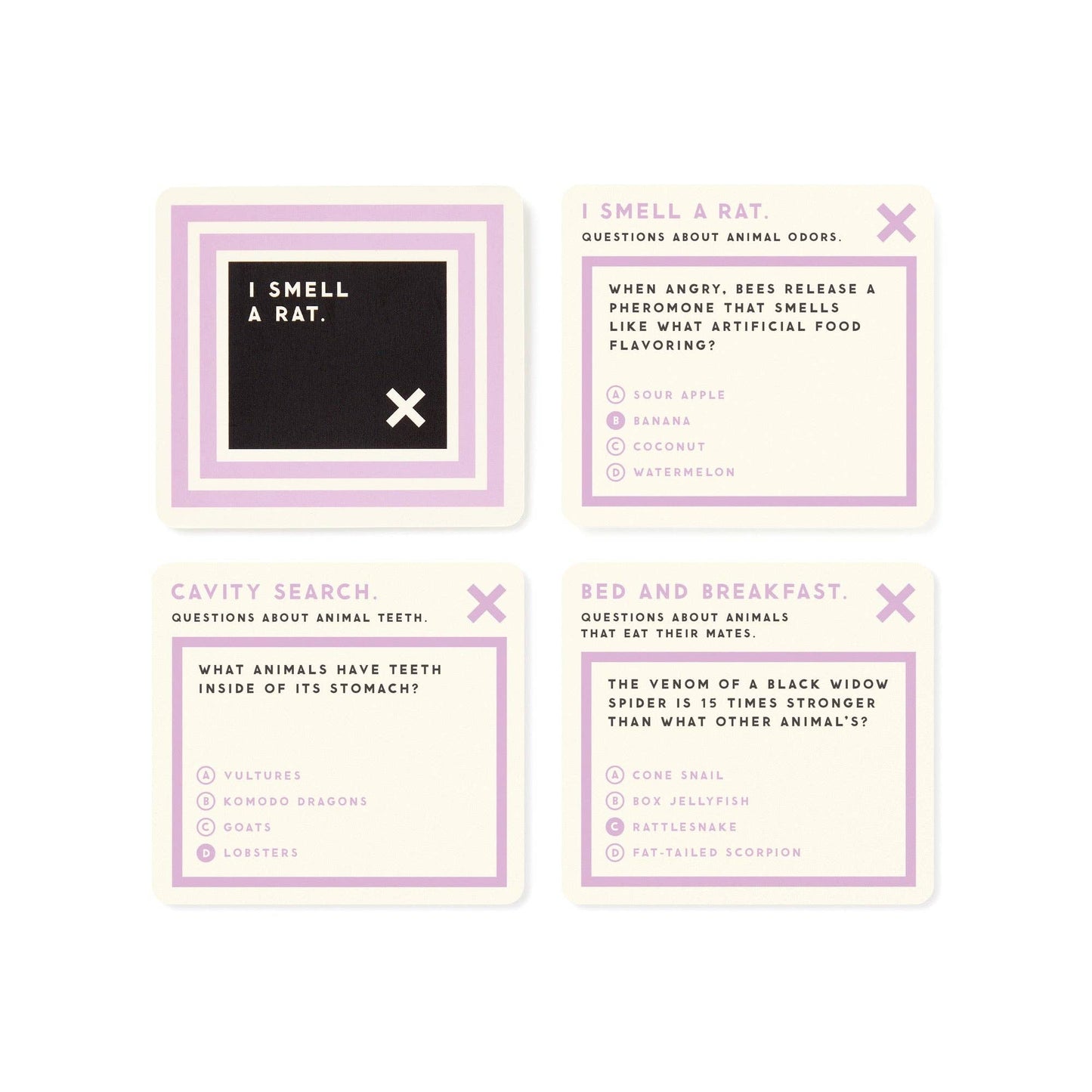 Brass Monkey Useless Animal Trivia Game