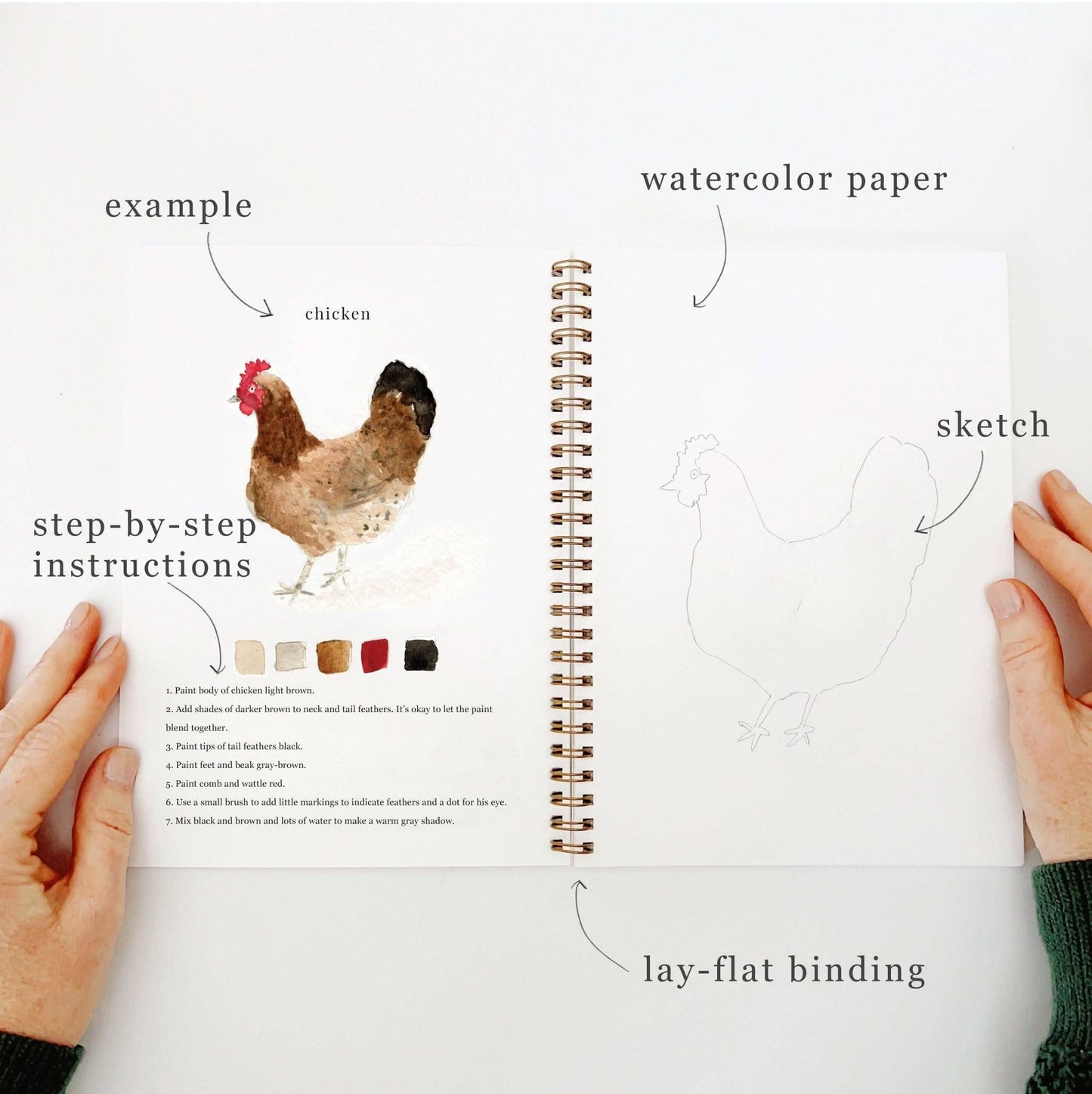 Animals Watercolor Workbook by Watercolor Artist Emily Lex