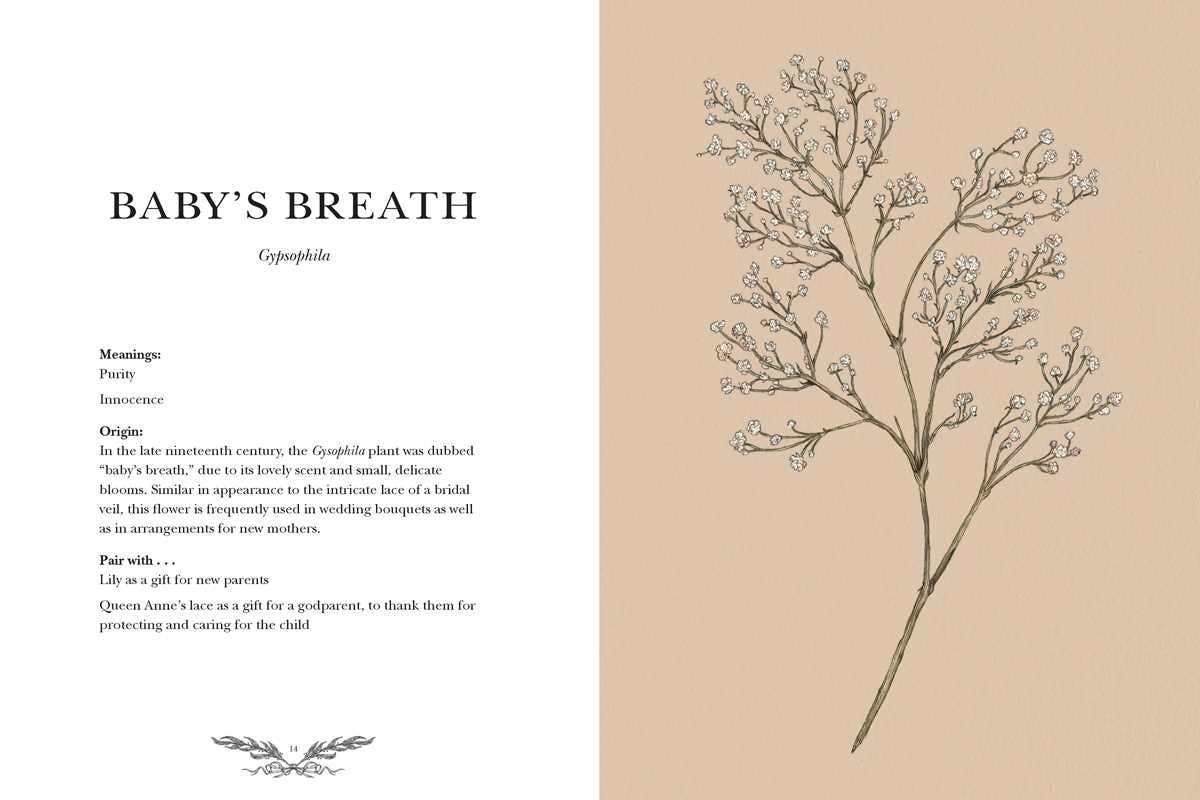 "Floriography: An Illustrated Guide to the Victorian Language of Flowers" by Jessica  Roux - Hardcover