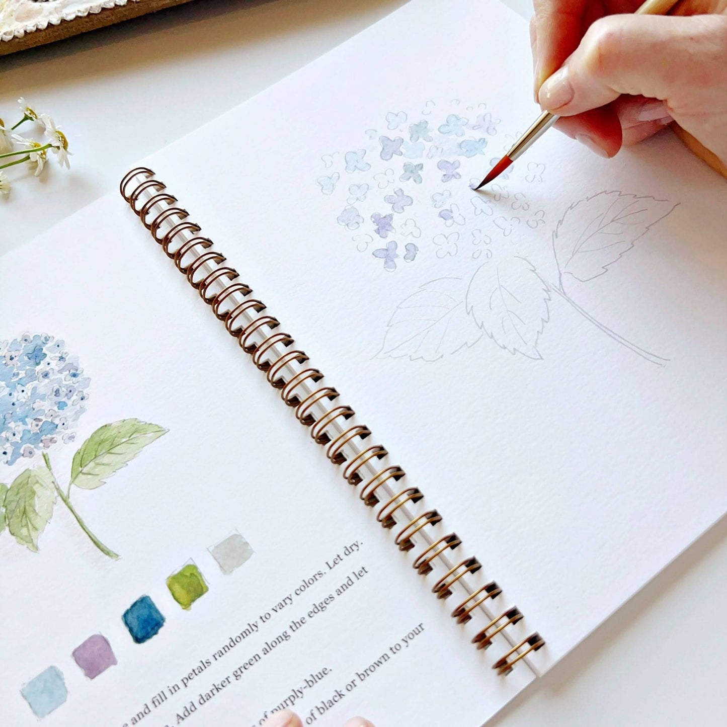 Flowers Watercolor Workbook by Watercolor Artist Emily Lex
