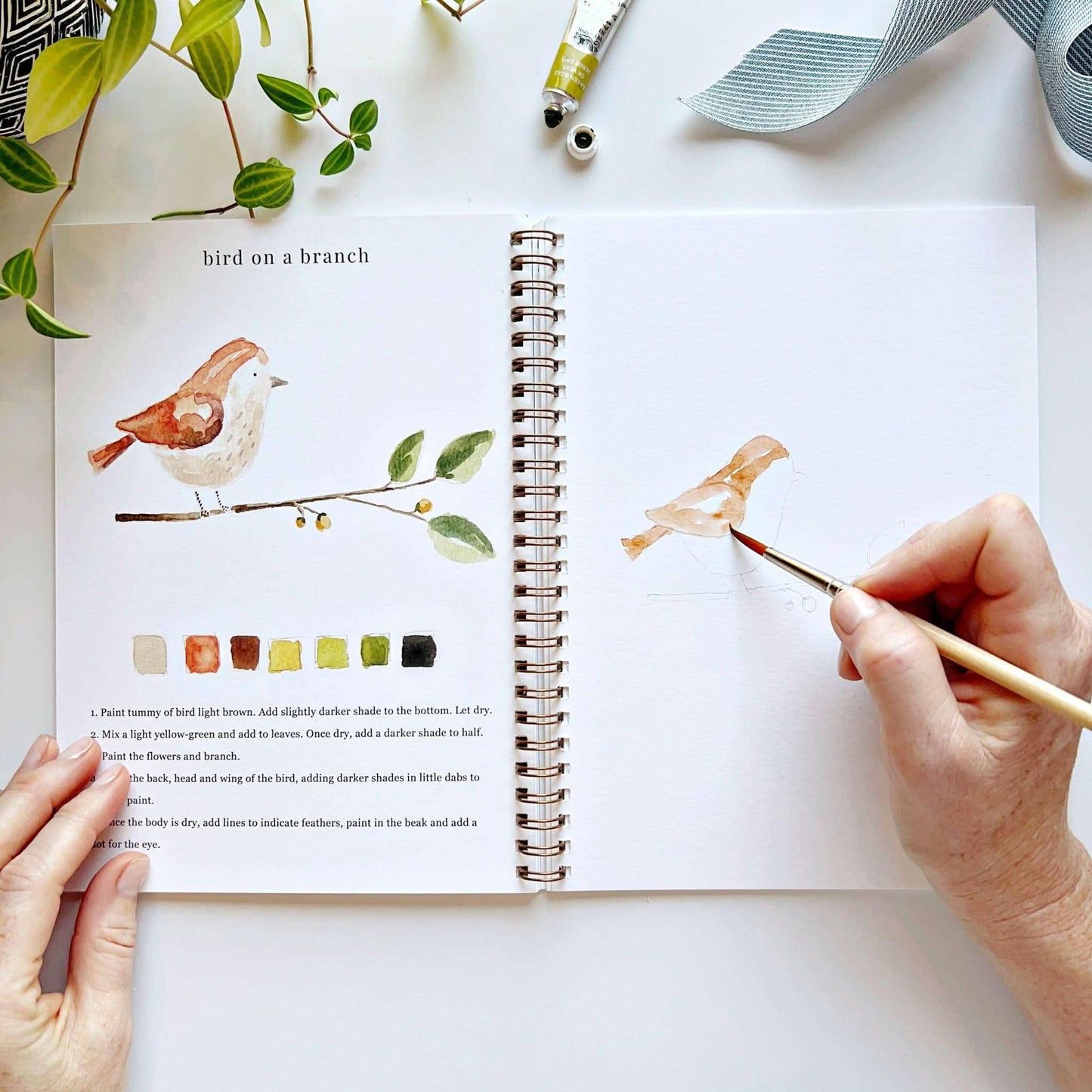 Animals Watercolor Workbook by Watercolor Artist Emily Lex