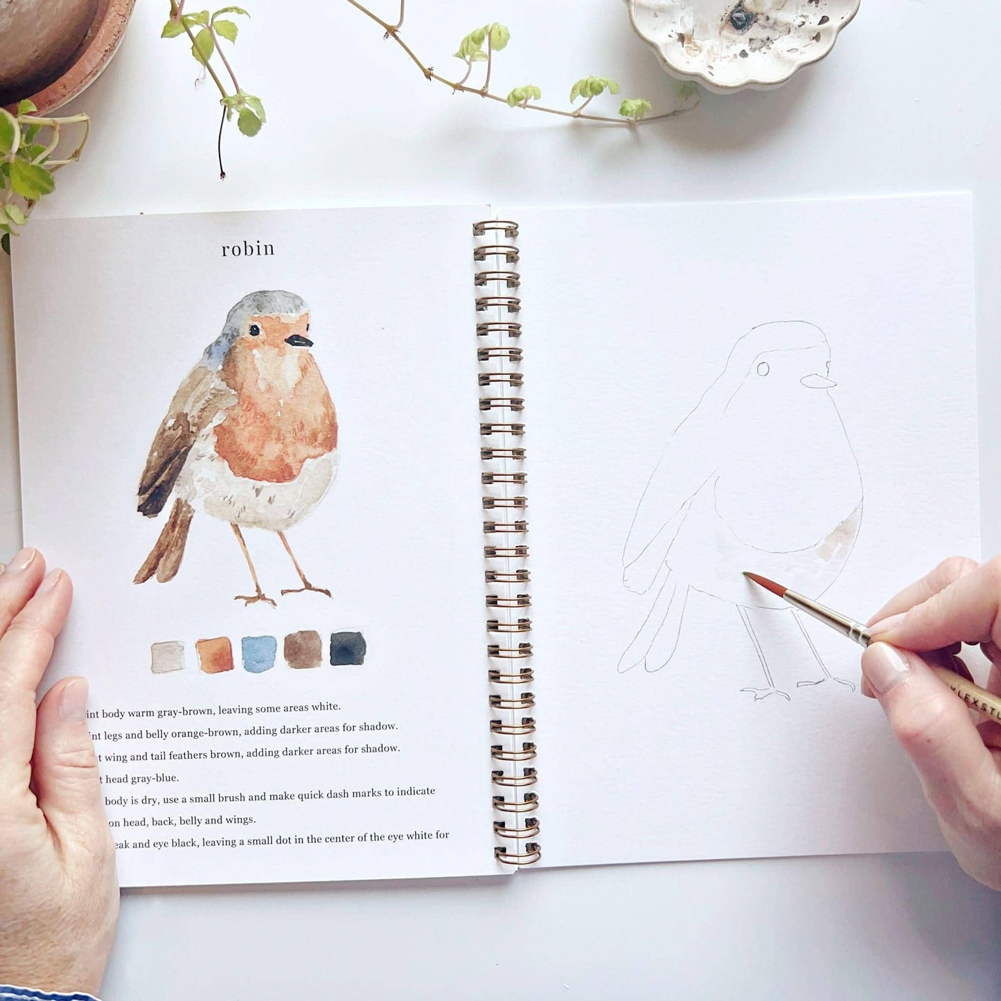 Birds Watercolor Workbook by Watercolor Artist Emily Lex