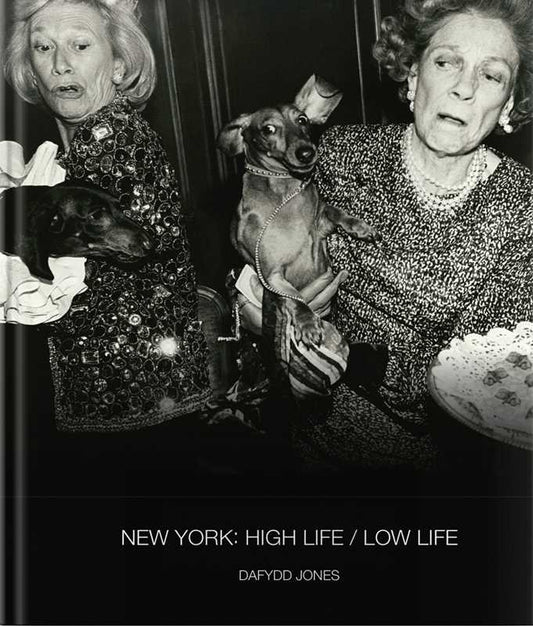 New York: High Life / Low Life by Dafydd Jones - Hardcover