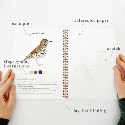 Birds Watercolor Workbook by Watercolor Artist Emily Lex
