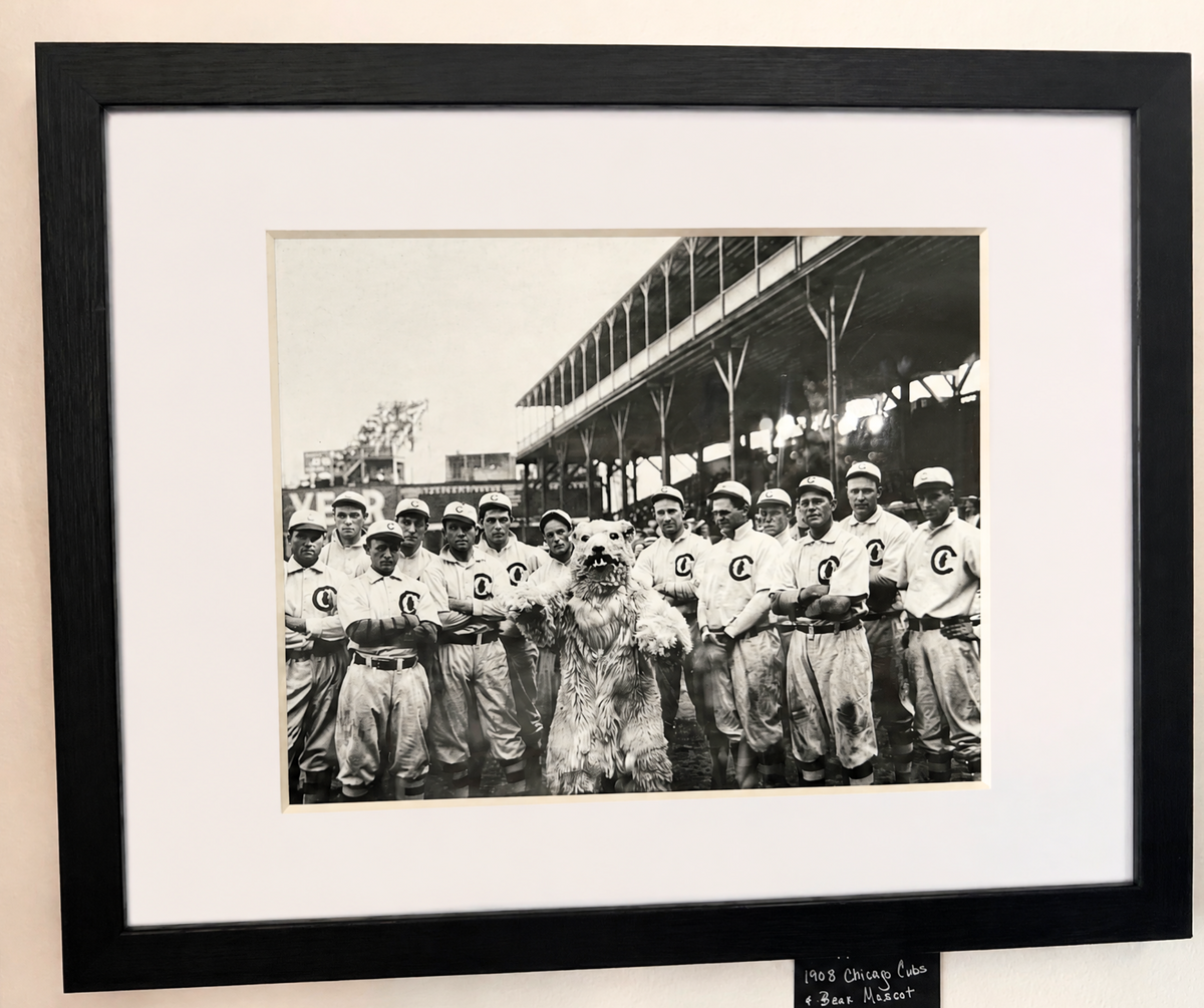 1908 Chicago Cubs and Bear Mascot Framed Matted Photo