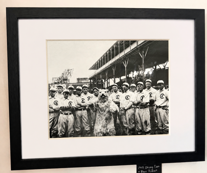 1908 Chicago Cubs and Bear Mascot Framed Matted Photo