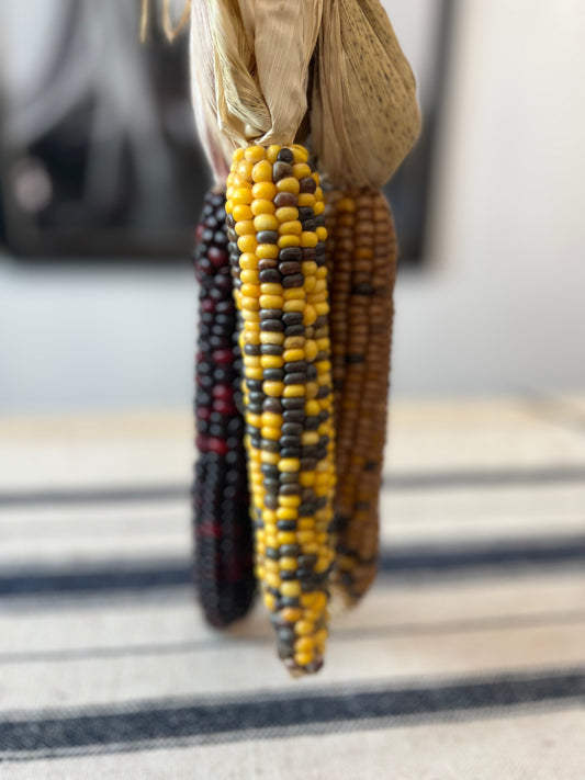 Dried Colorful Ornamental Corn Bunch