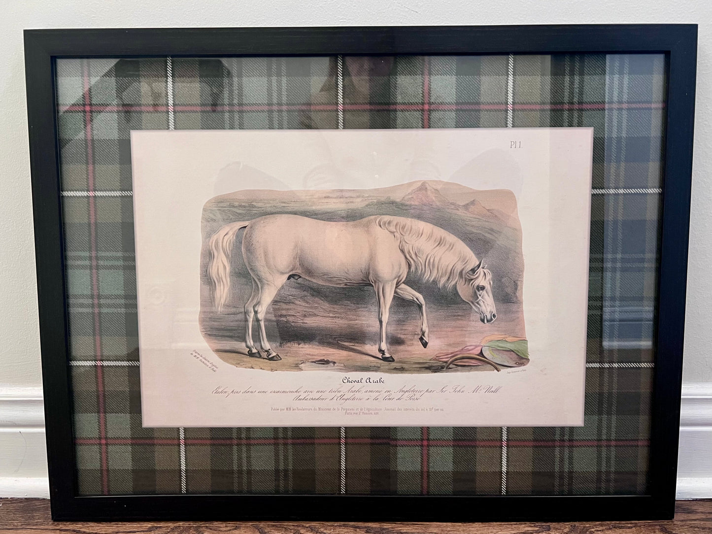 "Cheval Arabe" Plaid Mat Framed Print
