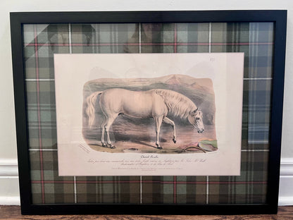 "Cheval Arabe" Plaid Mat Framed Print