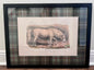 "Cheval Arabe" Plaid Mat Framed Print