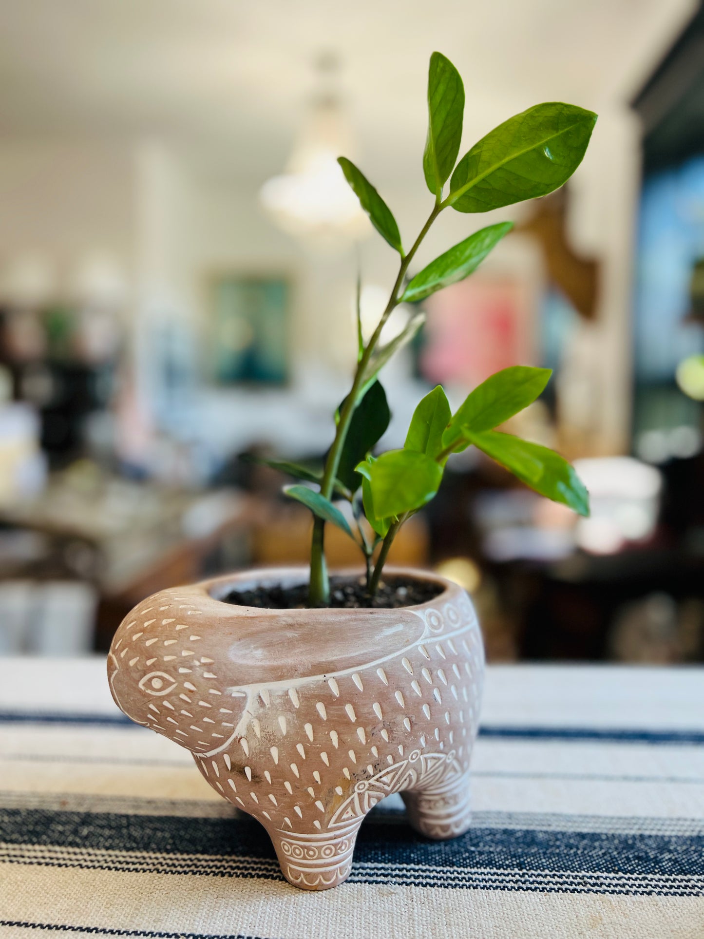 Handmade Terracotta Rabbit Planter Pot With ZZ Plant
