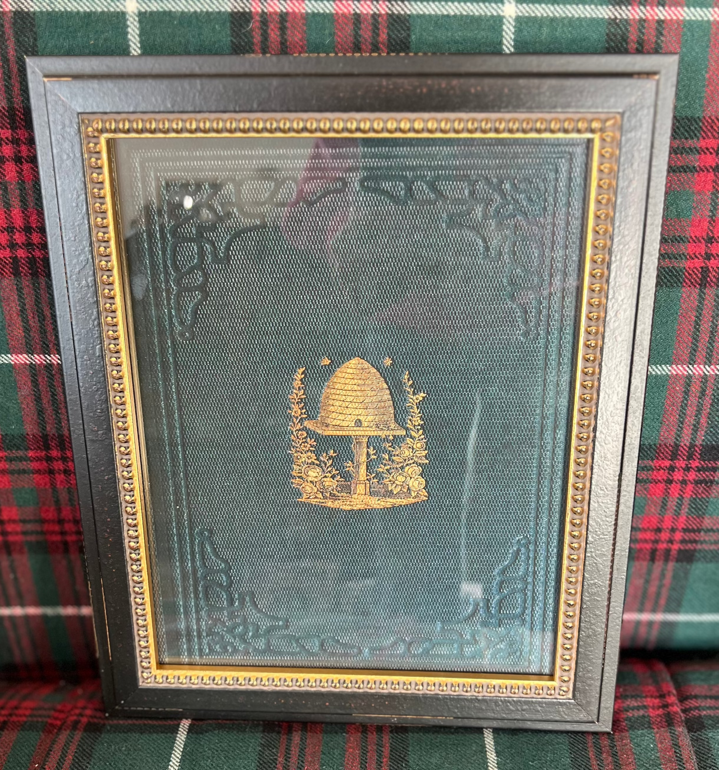 Dark Green Bee Keeping Book Cover Framed Print I - Vintage Reproduction