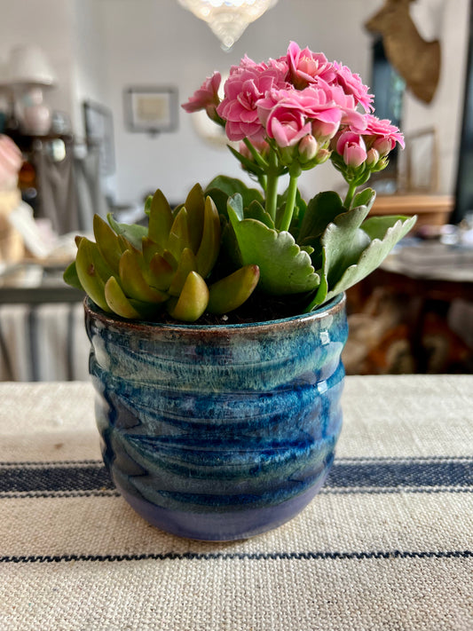 Deep Blue Planter with Succulents - Handmade by Ceramic Artist Natalie Zelman