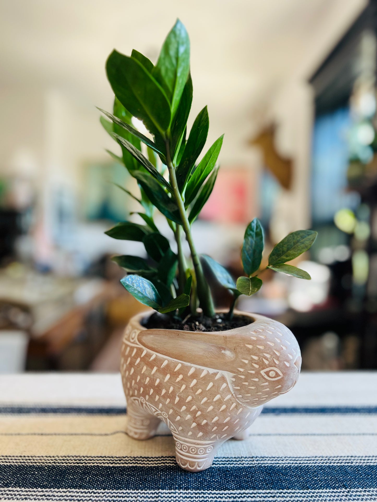 Handmade Terracotta Rabbit Planter Pot With ZZ Plant
