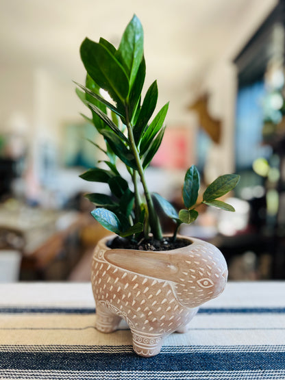 Handmade Terracotta Rabbit Planter Pot With ZZ Plant