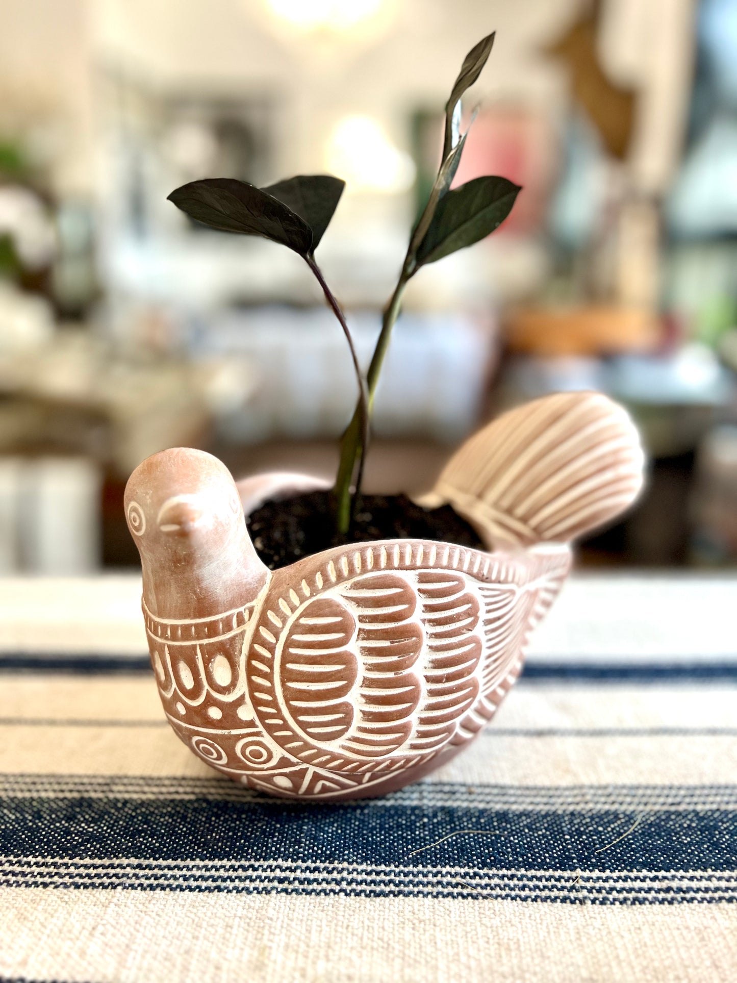 Handmade Terracotta Turtle Dove Planter Pot With ZZ Plant