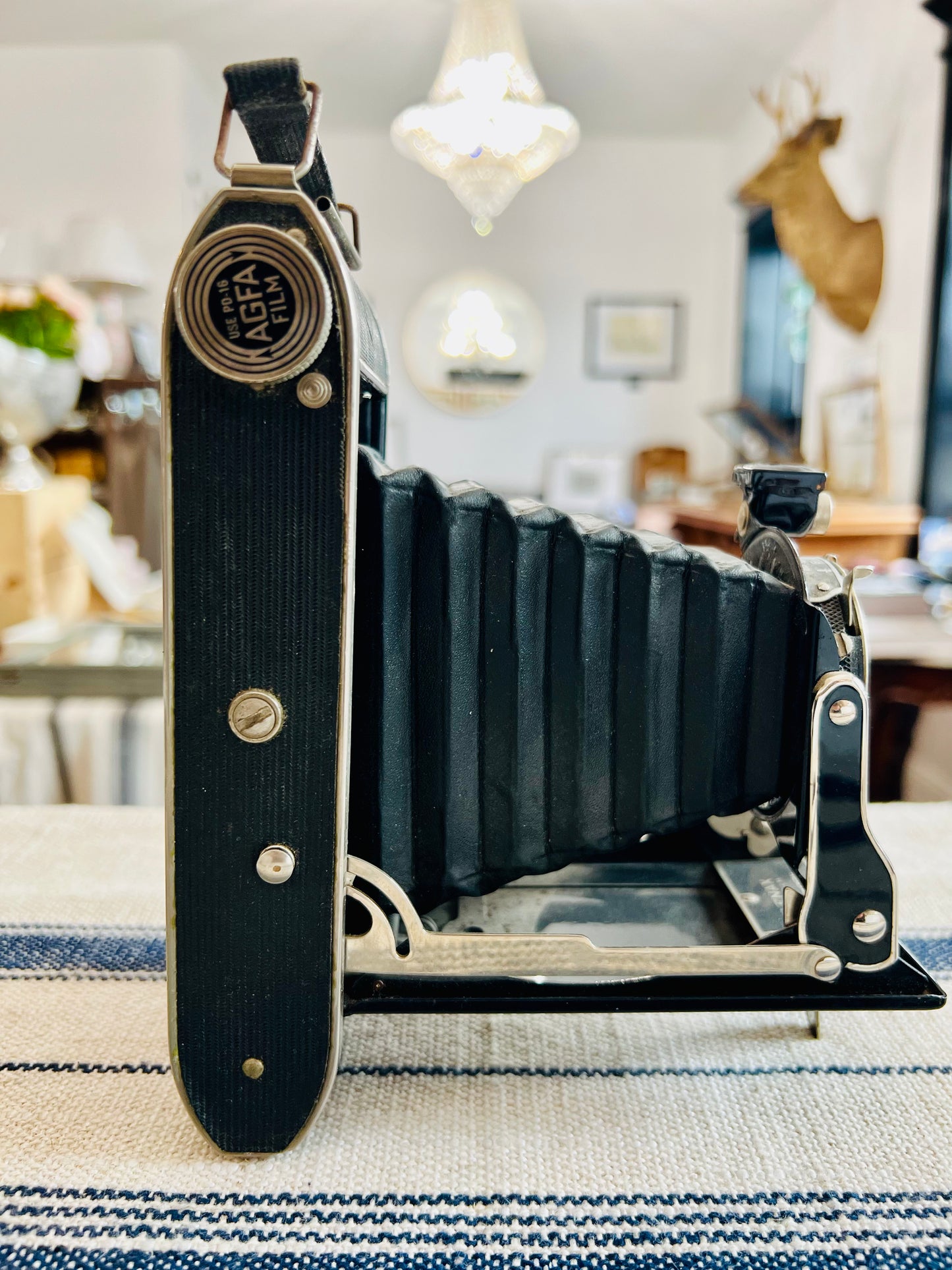 Vintage Agfa PD 16 Plenax Camera Circa 1930s