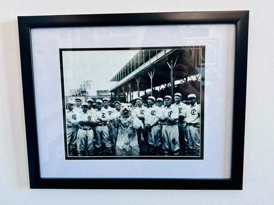1908 Chicago Cubs and Bear Mascot Framed Photo