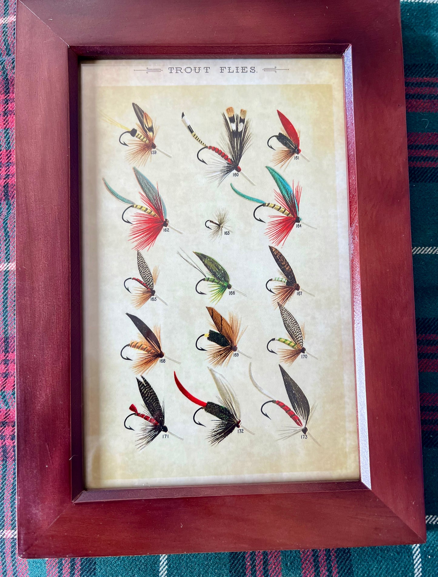Trout Flies Reproduction Archival-Quality Ink Print Framed Behind Glass