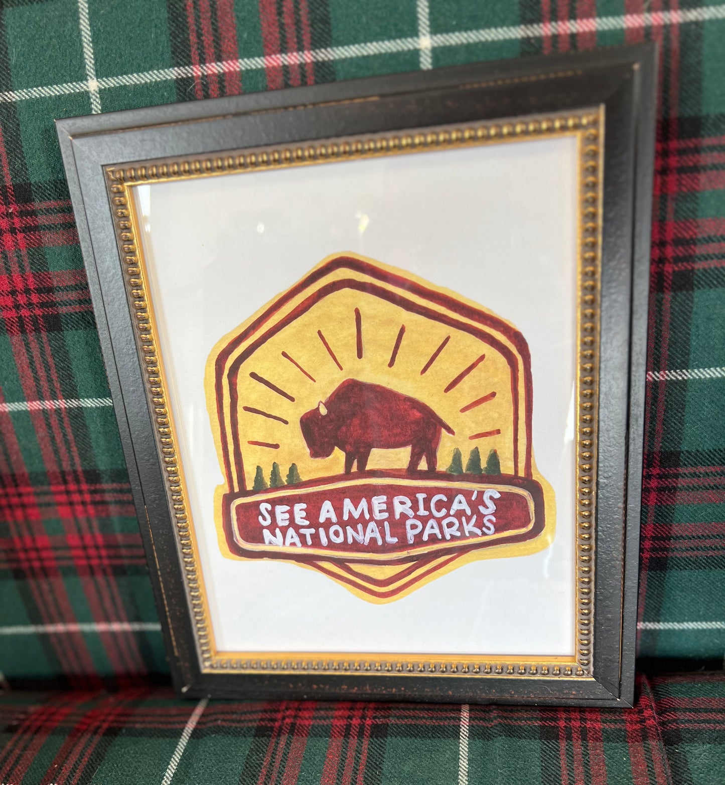 See Americas National Parks Logo Framed Print