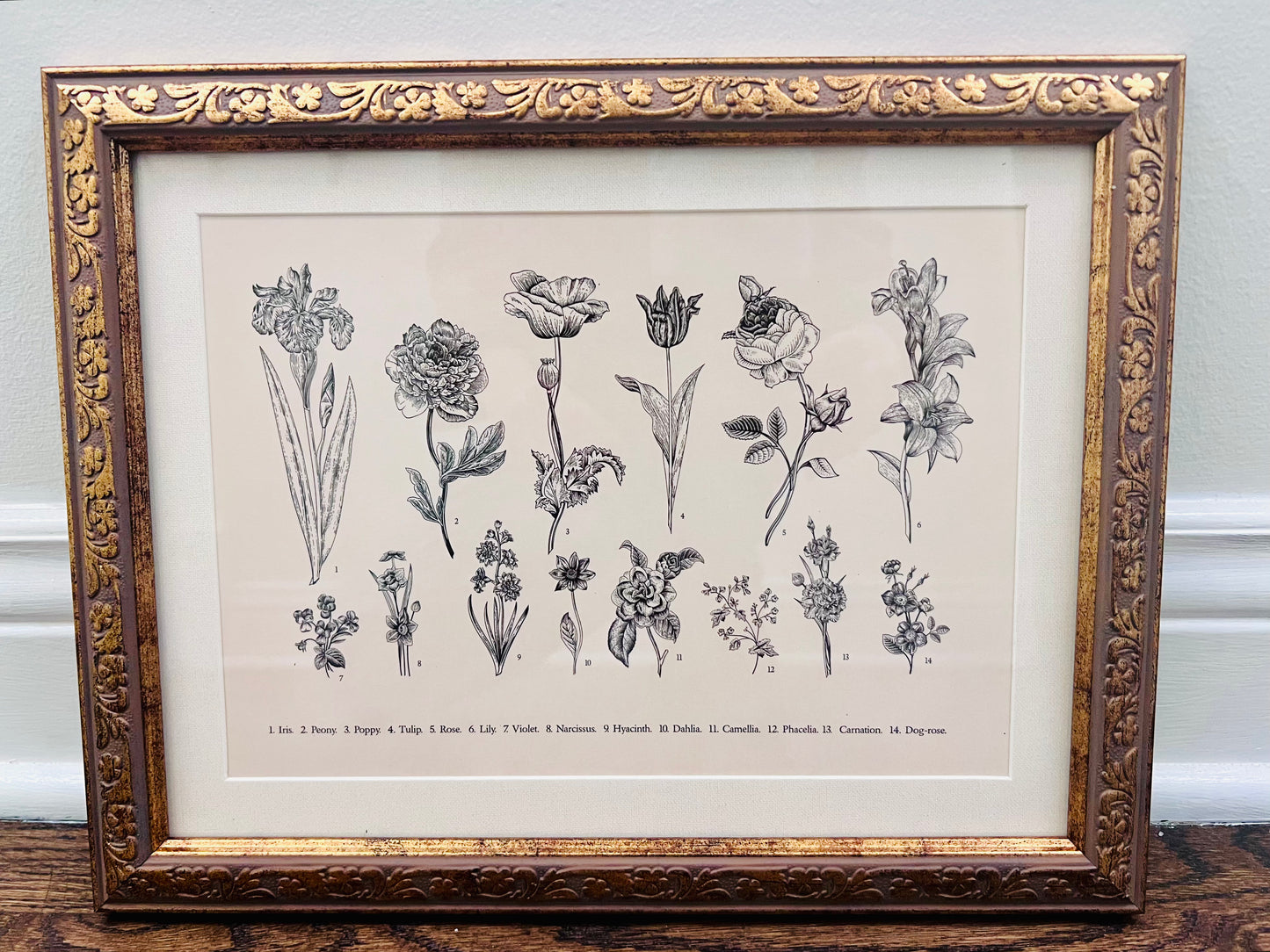 Botanical Floral Framed Print