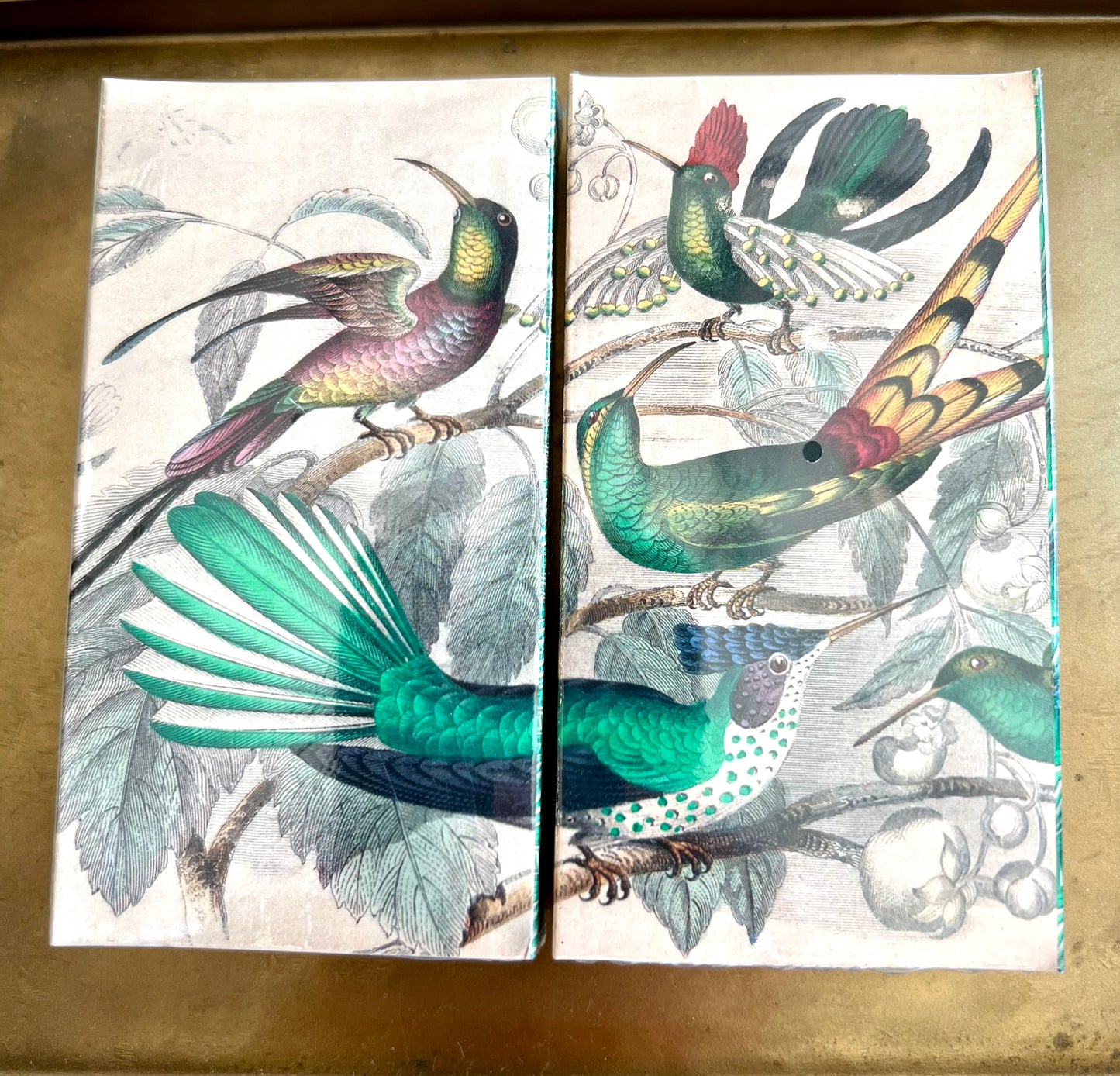 Exotic Birds Matches