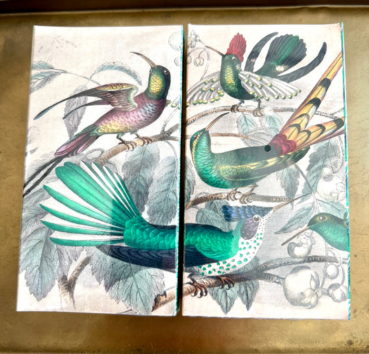 Exotic Birds Matches