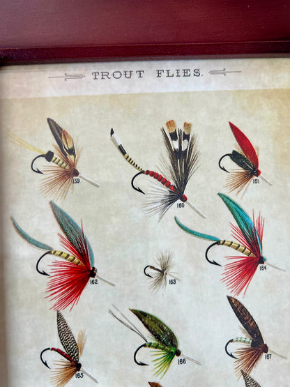 Trout Flies Reproduction Archival-Quality Ink Print Framed Behind Glass