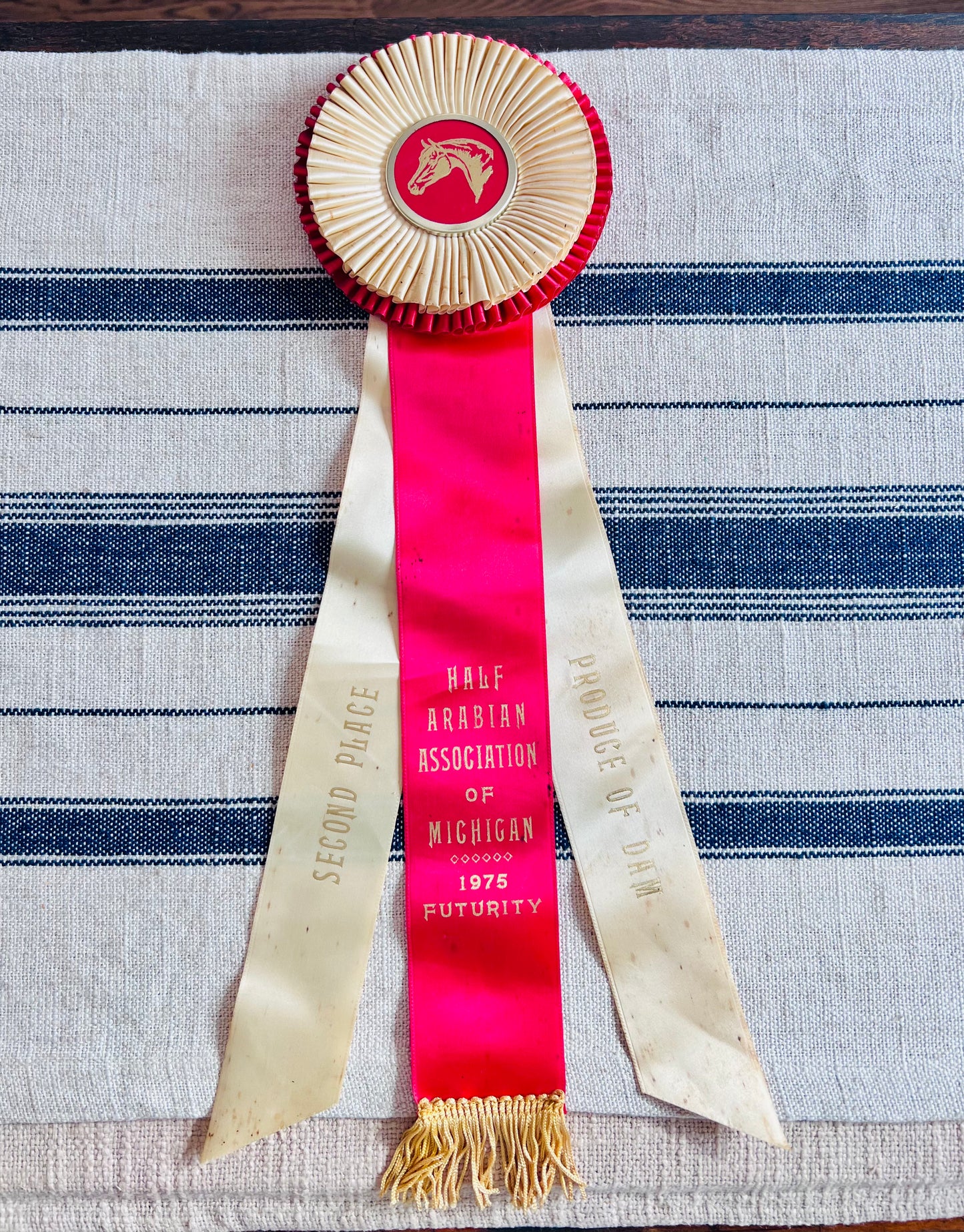 Vintage 1975 Horse Show Ribbon - Half Arabian Association of Michigan